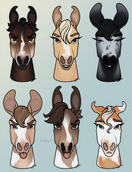 Horse Head/Expression Adopts - OPEN