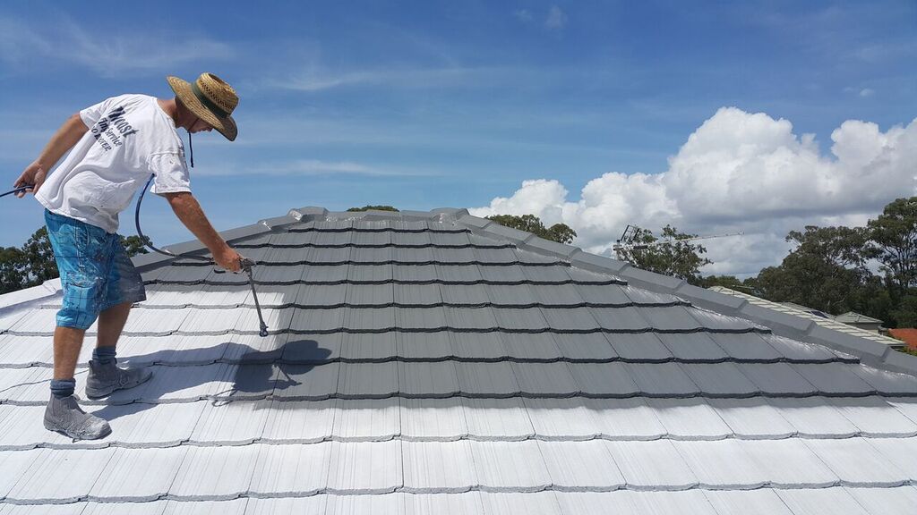 Roof Painters