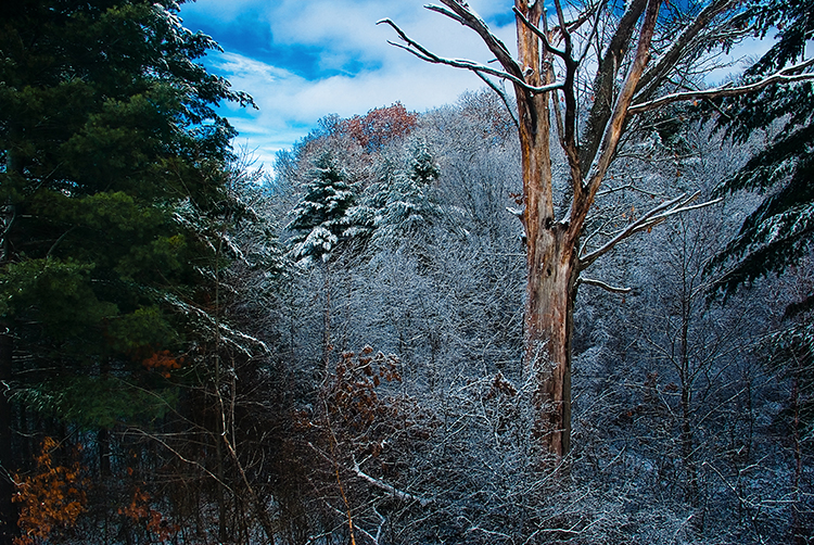 First Snow in Color