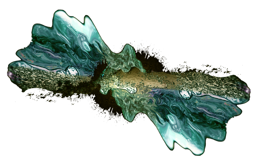 Fly Splat by shammyrock on DeviantArt