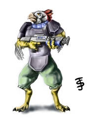 Avian Space Marine