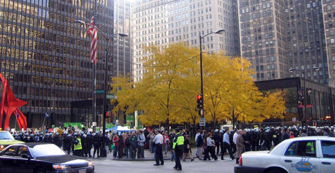 Nov 2: police and trees...