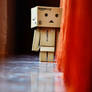 Danbo