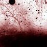 Withered remains