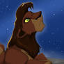 Kovu under the stars