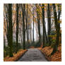 the road goes ever on and on