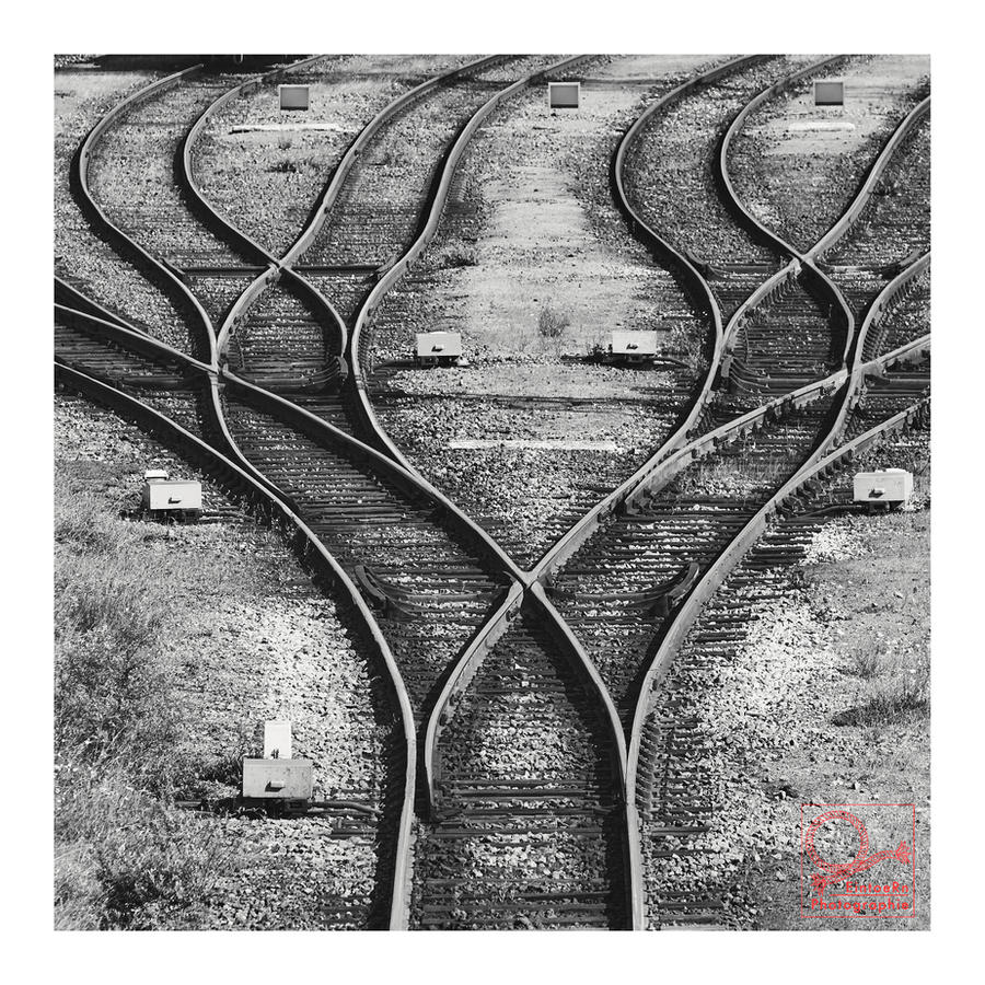 bongo tracks