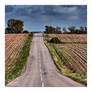 take me home country roads