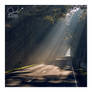 october morning on the road