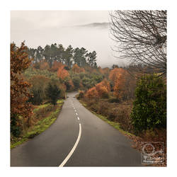the road goes on and on