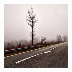 pulling over