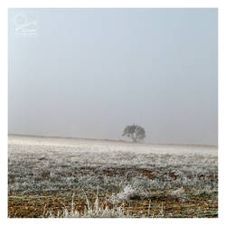 when it was winter in the Spanish highlands