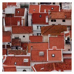 roofs