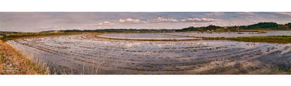 rio mondego rice field pano