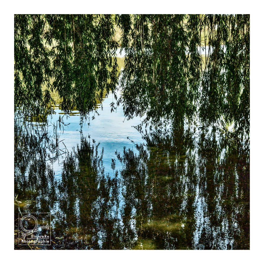 under the willow tree by EintoeRn on DeviantArt