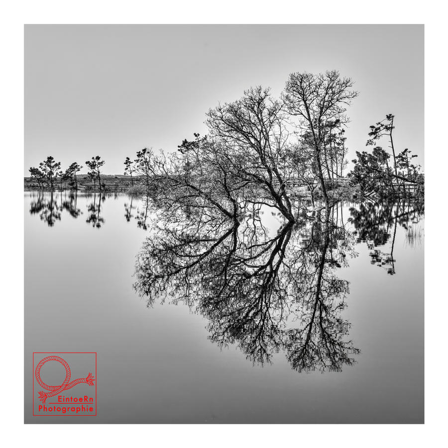 ervedeira lagoon after the rainy weeks