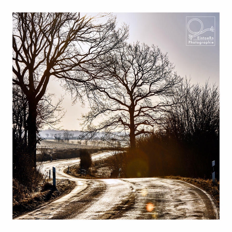 the road goes on and on and some people come along