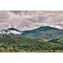 another rio douro scenic pano