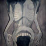 the body