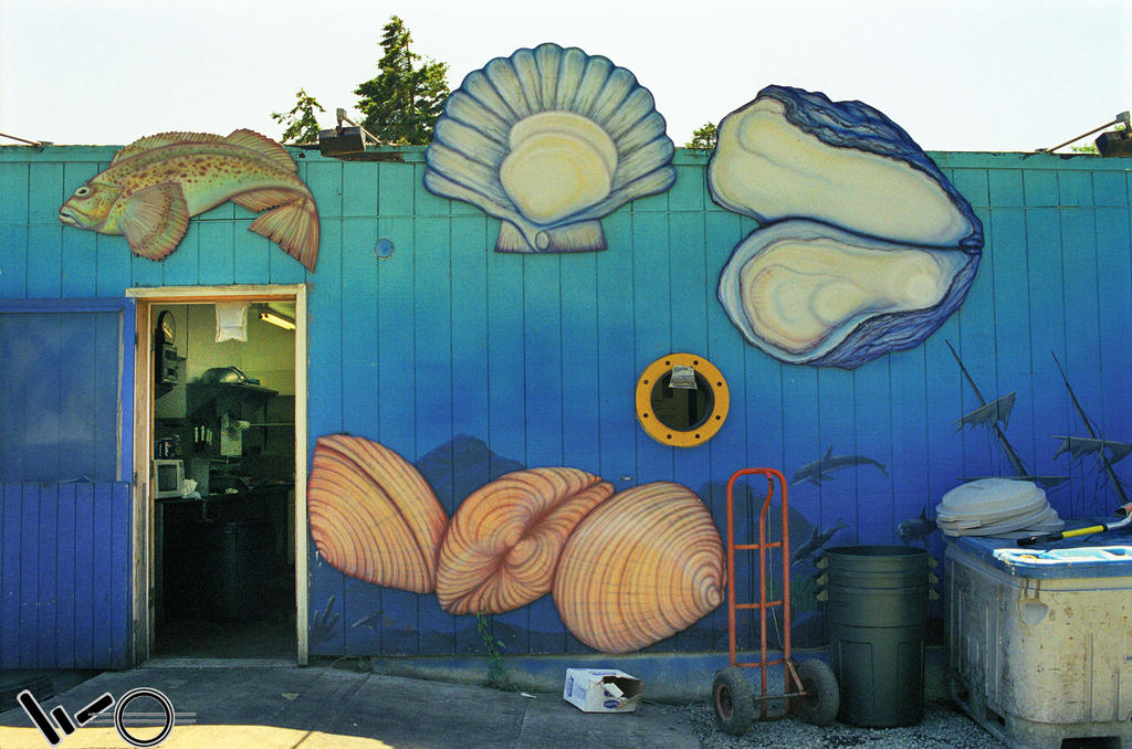 Clam Shell Minecraft Build Clam building 07060202-04 by woodeye on DeviantArt