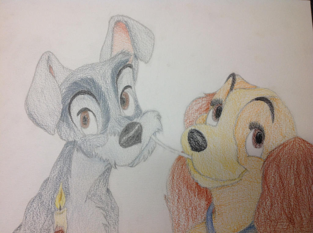 Lady and the tramp