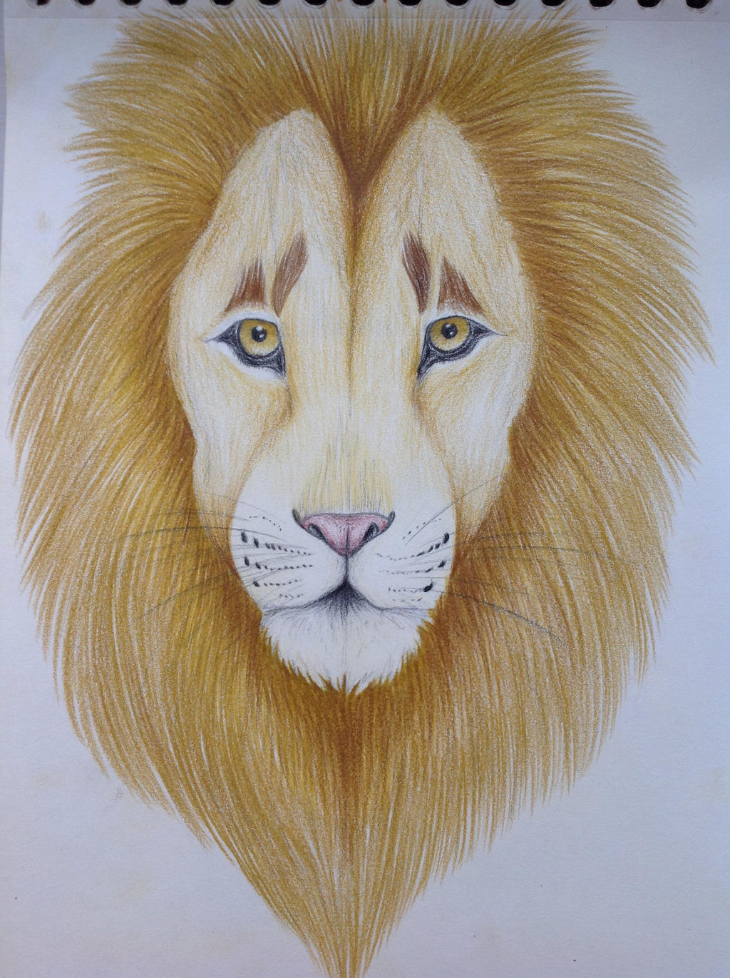 The lion