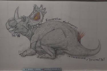 Skeleton Sketches: Sinoceratops