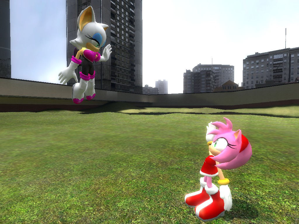 Amy and Rouge by kamiase on DeviantArt