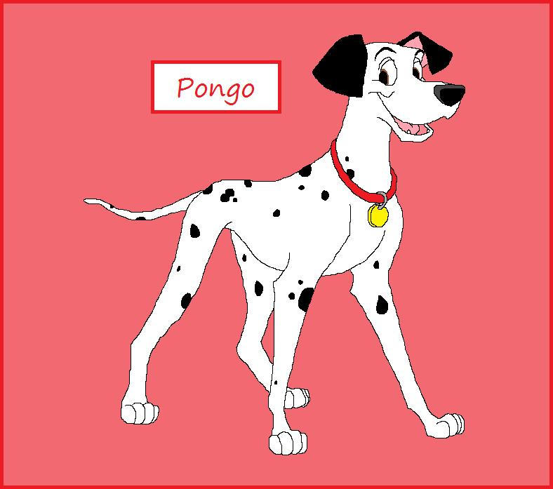 Mapango Cat Pongo by lilj4818 on DeviantArt