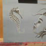 Seahorse work in progress