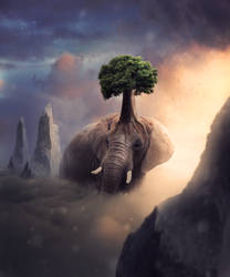 Elephant Photomanipulation