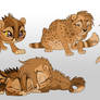 Daquiri's Cheetah Cubs