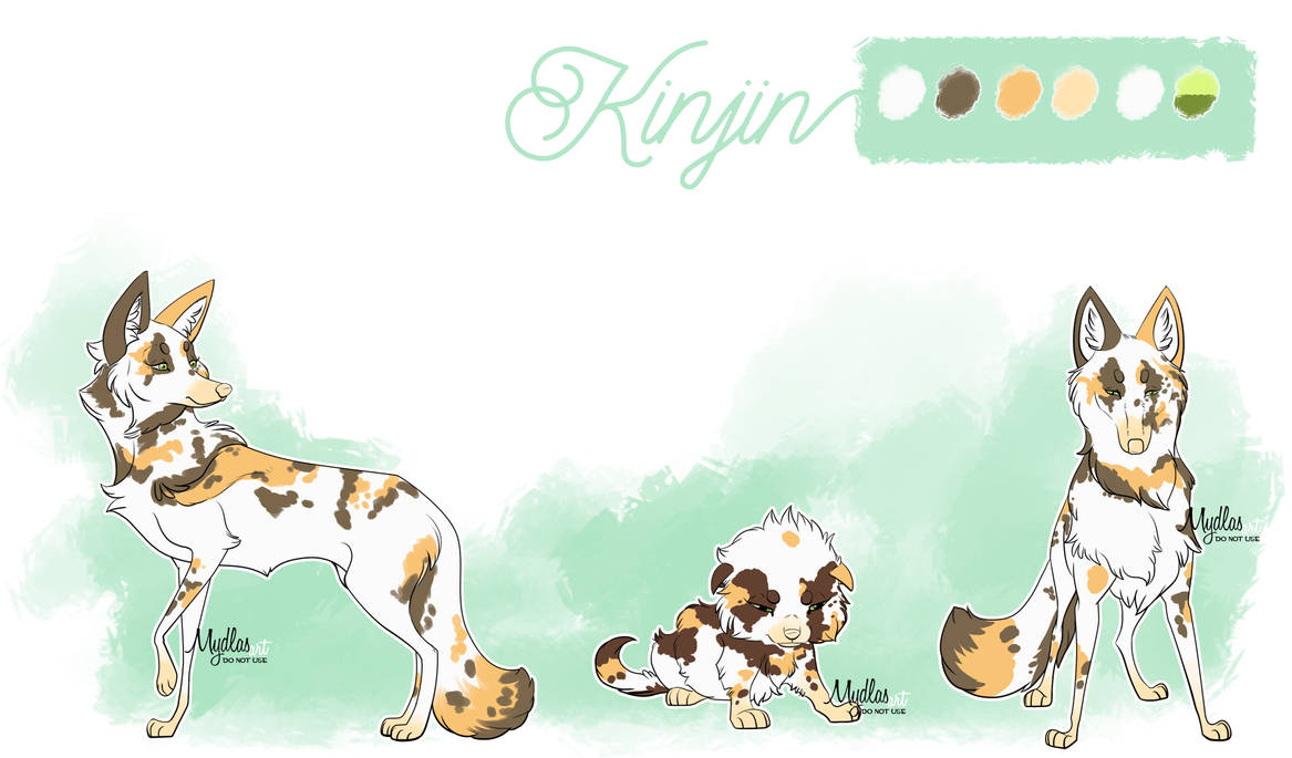 Kinjin reference sheet by mydlas on DeviantArt