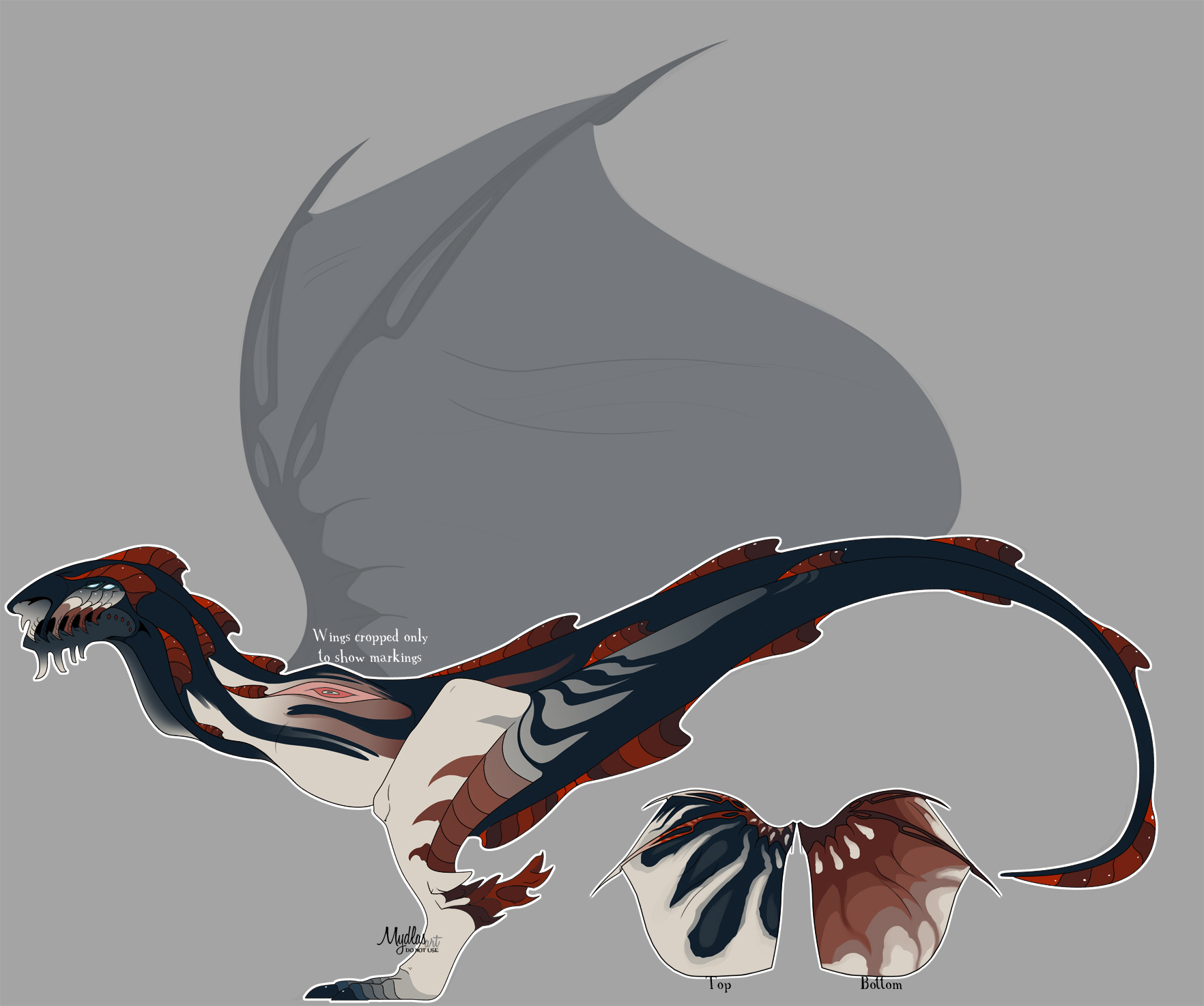 Wyvern dragon adopt (sold)