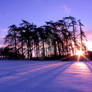 Sunrise In The Snow