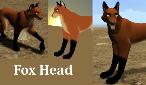 A Fox Head