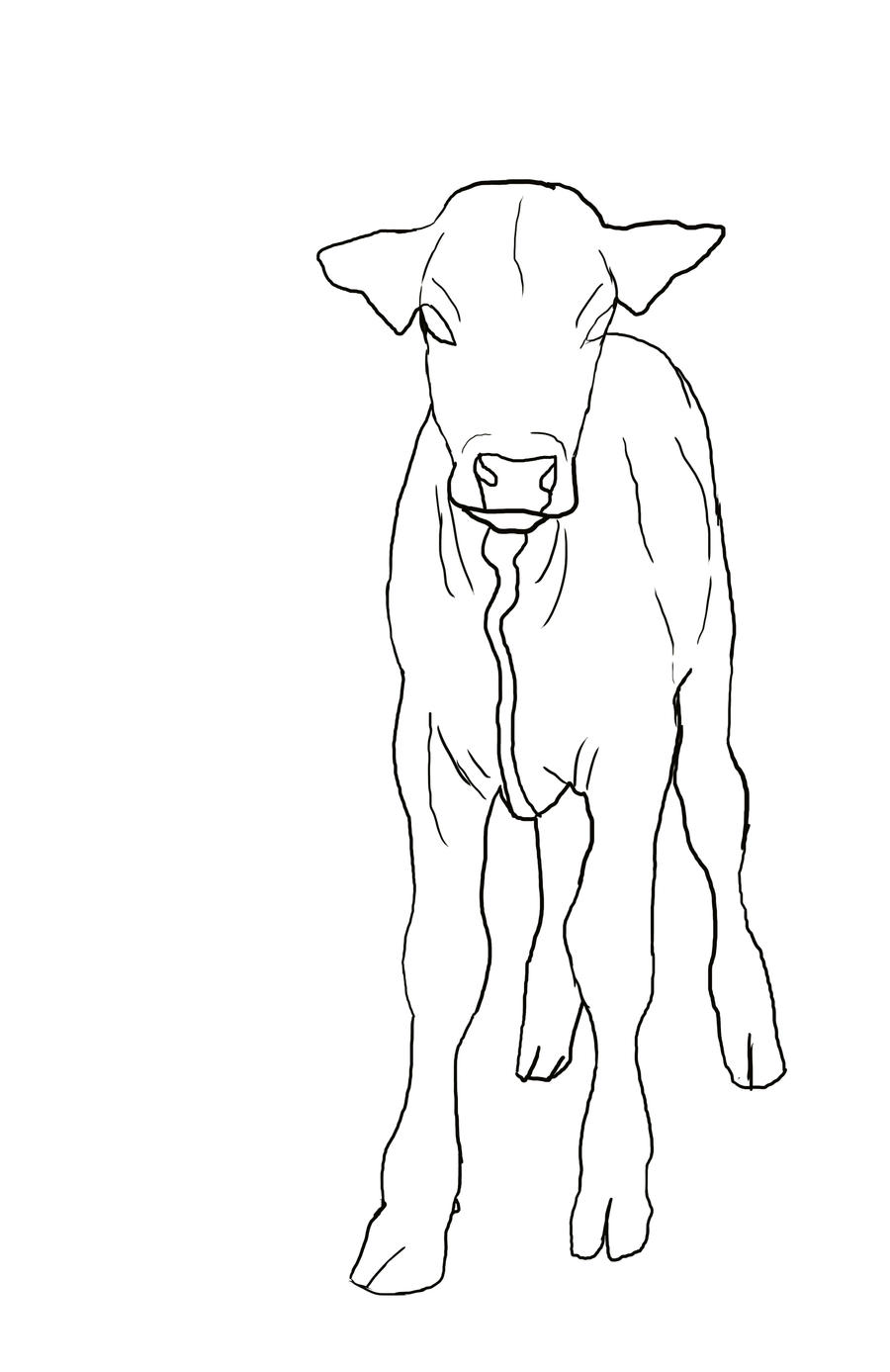 Darren Calf Lineart