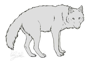 Ruedi the Wolf