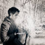 Winter CaptainSwan #2