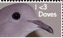 I love Doves