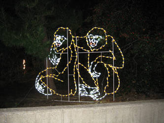 DC Zoolights: Monkeys