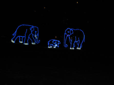 DC Zoolights: Elephants