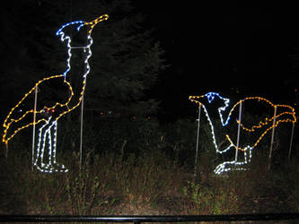 DC Zoolights: Cranes