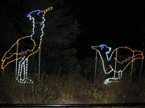 DC Zoolights: Cranes