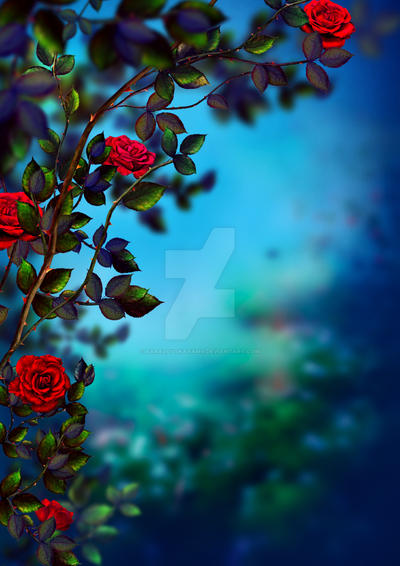 MagicRoses 10 by baralovskayaMv on DeviantArt