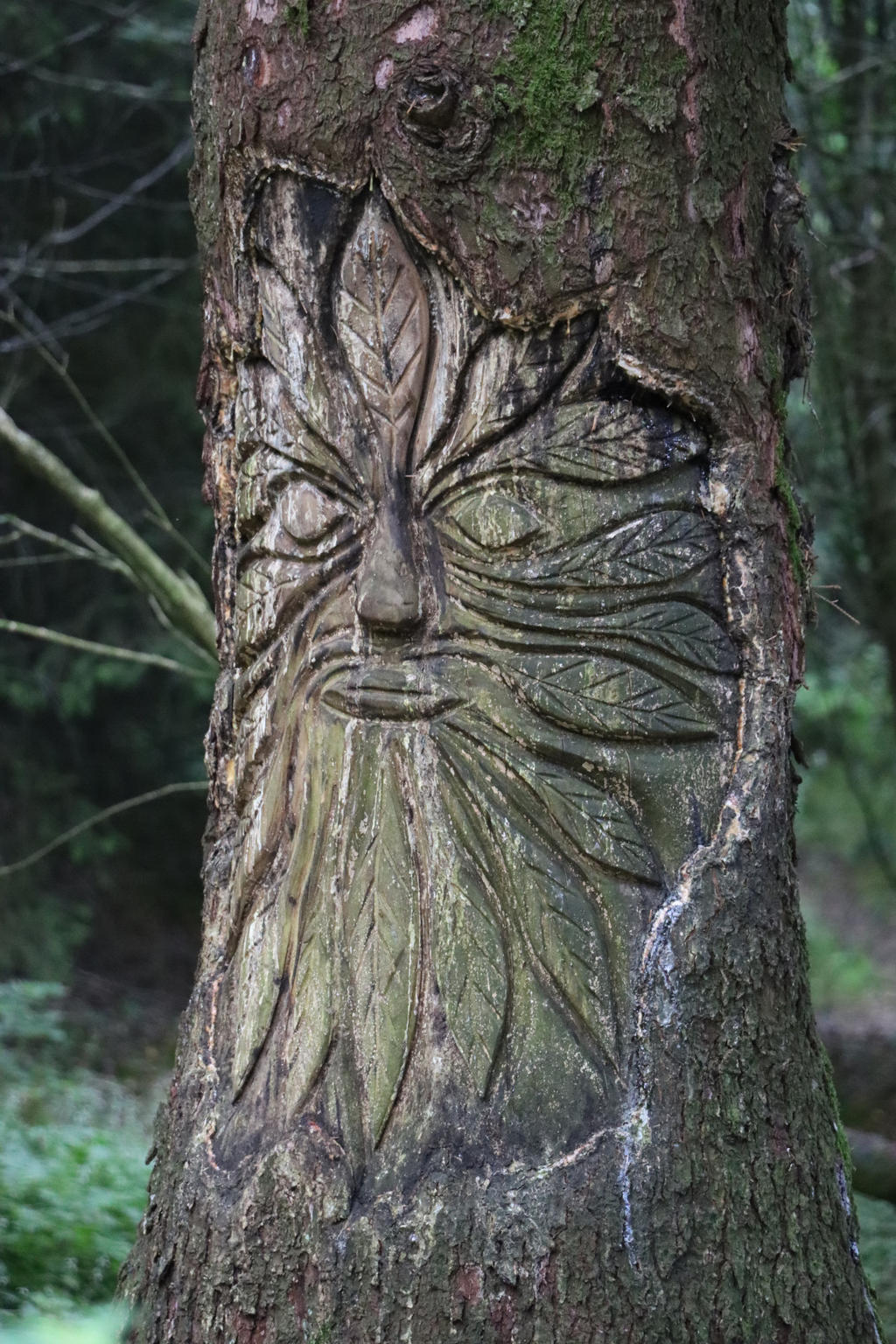 Green man tree carving by Cheesy-peas-please on DeviantArt