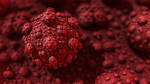 Coated Candies Red Edition by Swoopswatkill