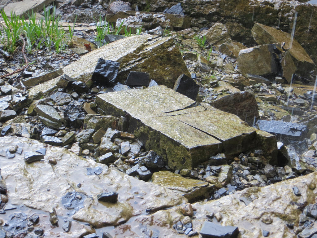 Wet Rocks