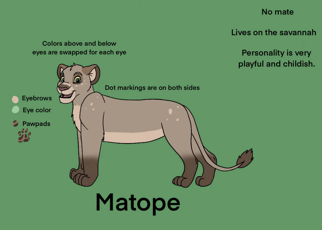 Matope Matope 2024 ref by SolitaryGrayWolf on DeviantArt