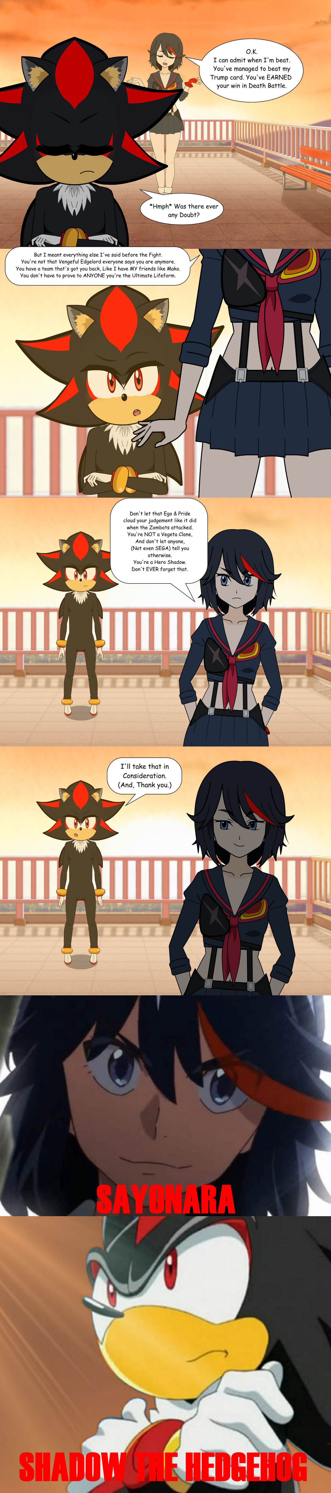 Shadow vs Ryuko's Death battle Aftermath. by MayandKirby on DeviantArt